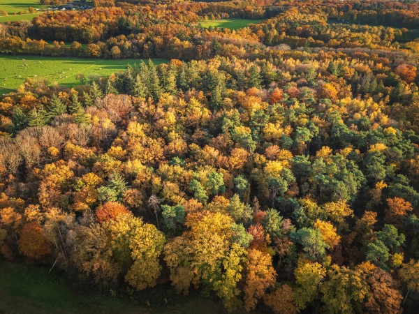 dji hdr bewerkt