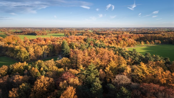dji hdr bewerkt